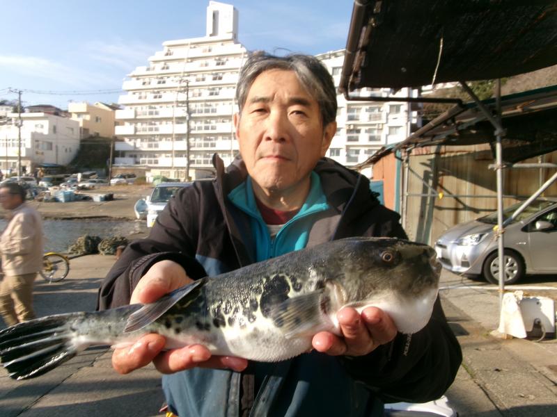 トラフグ釣り2枚目