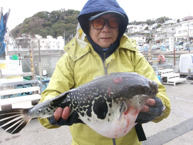 トラフグ釣り2枚目