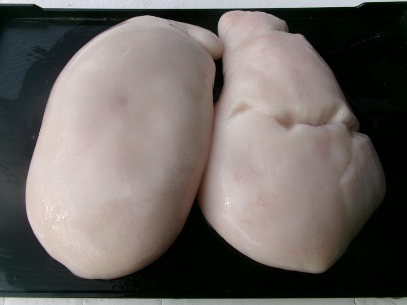 トラフグ釣り4枚目