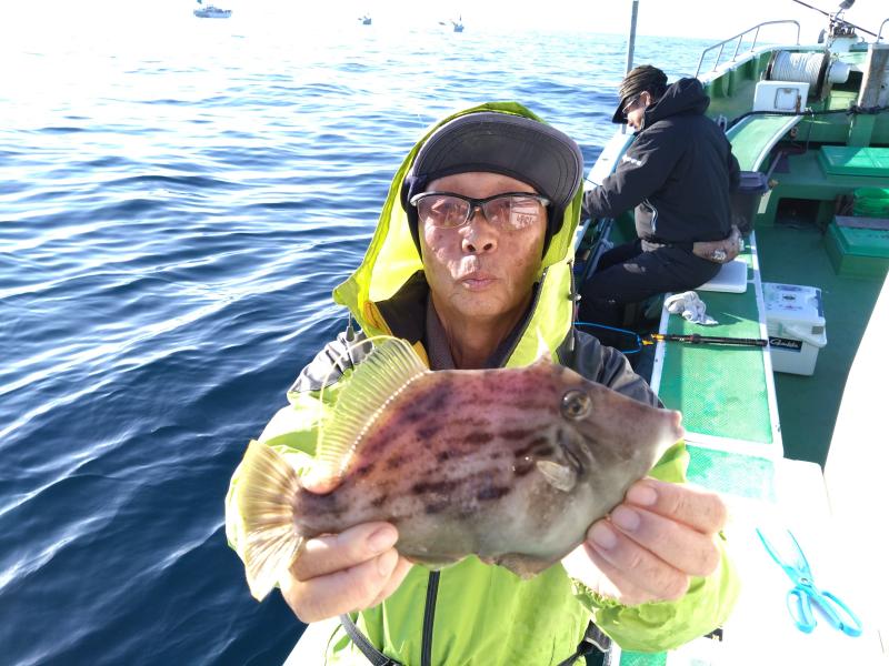 カワハギ釣り5枚目