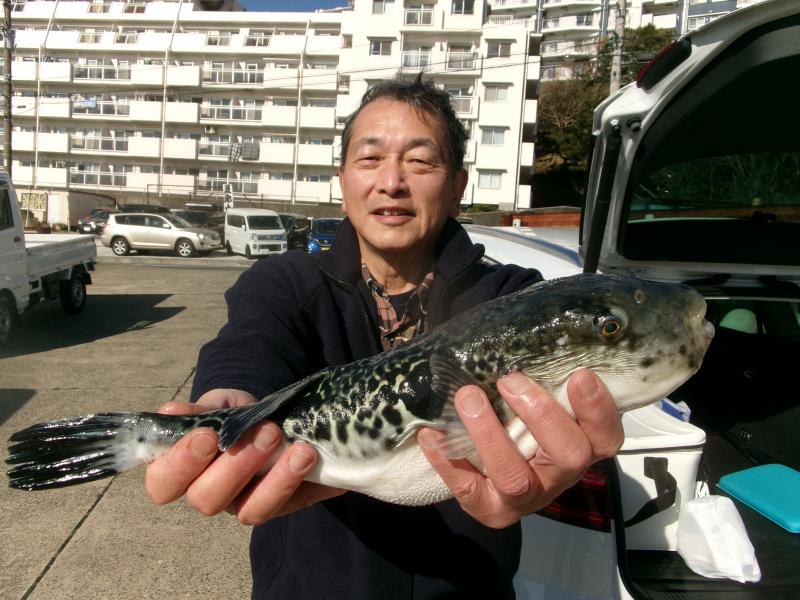 トラフグ釣り2枚目