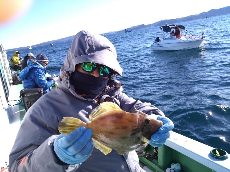 カワハギ釣り5枚目