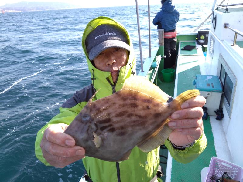 カワハギ釣り3枚目