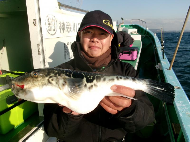 トラフグ釣り1枚目