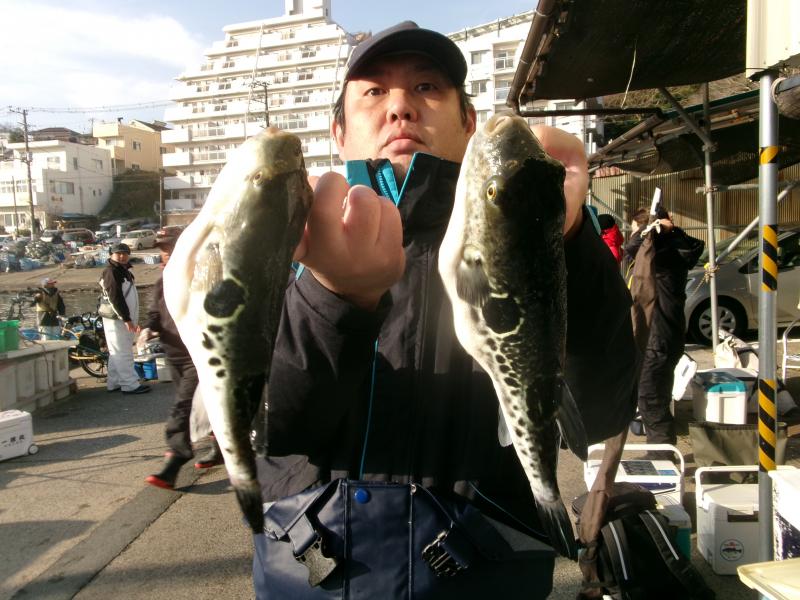 トラフグ釣り1枚目