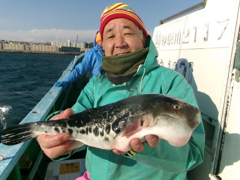 トラフグ釣り1枚目