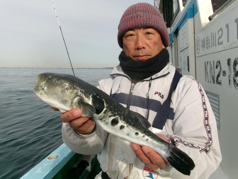 トラフグ釣り1枚目