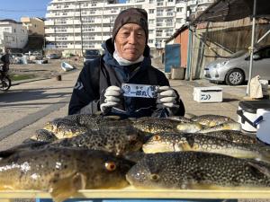 ふぐ釣り好調です！！
