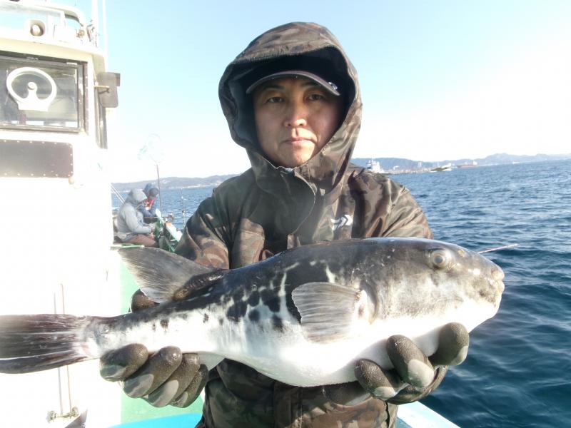 トラフグ釣り1枚目