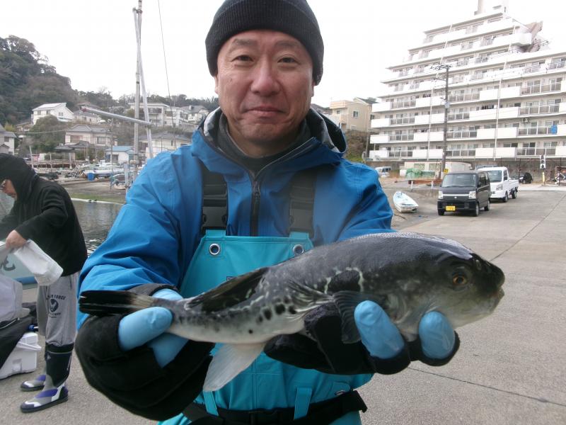 トラフグ釣り1枚目