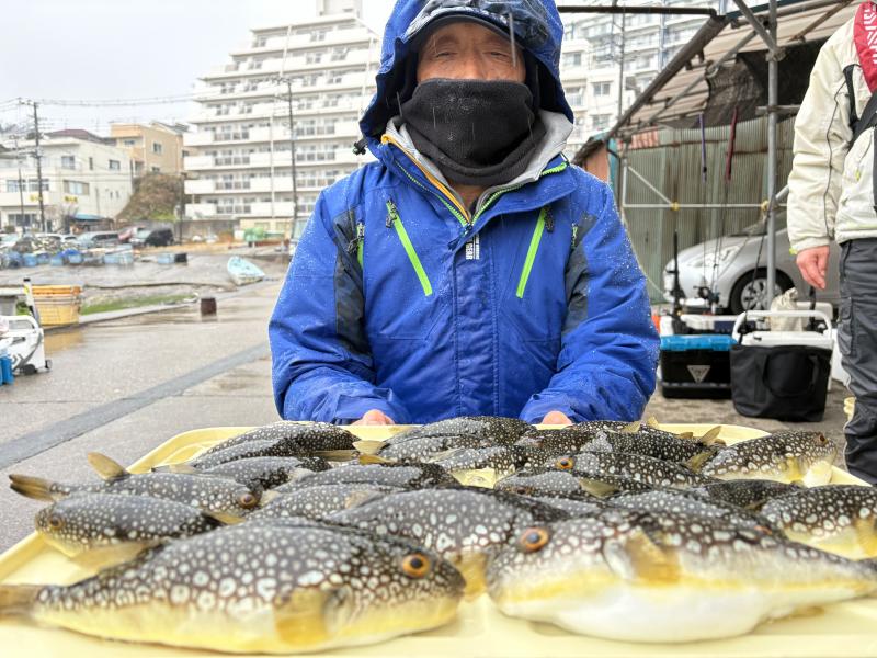 ふぐ釣り好調です！！1枚目