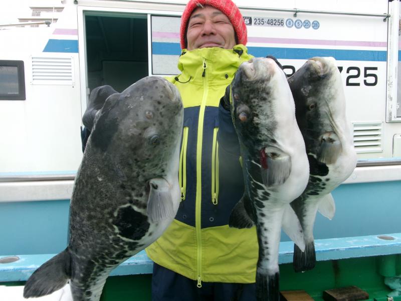 トラフグ釣り好調です！！1枚目