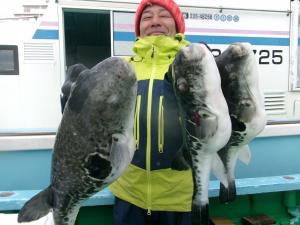 トラフグ釣り好調です！！