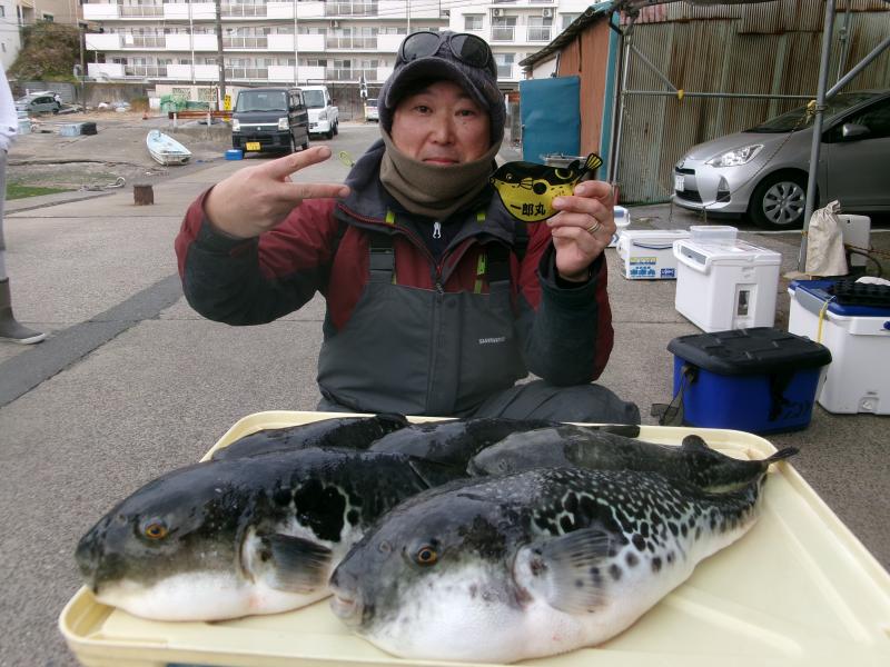 トラフグ釣り好調です！！2枚目