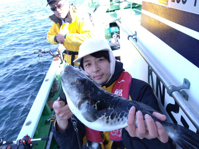 トラフグ釣り好調です！！4枚目