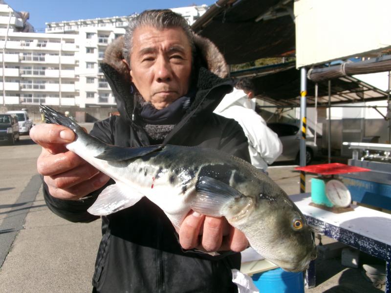トラフグ釣り2枚目