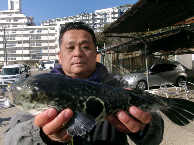 トラフグ釣り2枚目