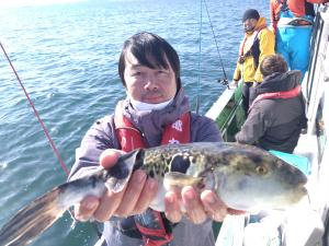 トラフグ釣り好調です！！