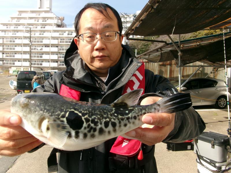 トラフグ釣り1枚目