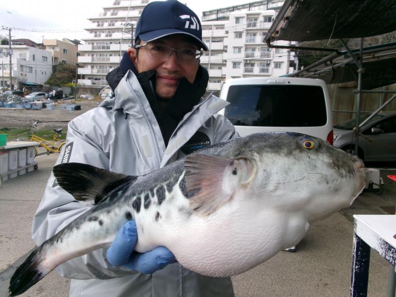 トラフグ釣り1枚目