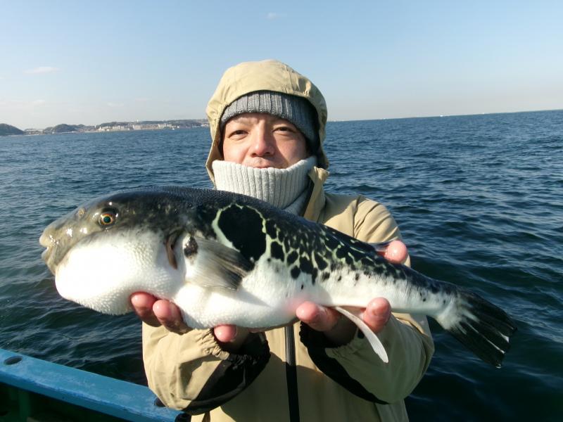 トラフグ釣り2枚目