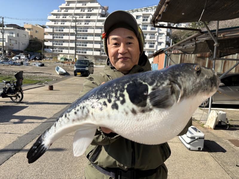 トラフグ釣り1枚目
