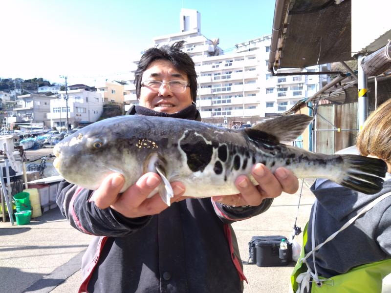 トラフグ釣り2枚目