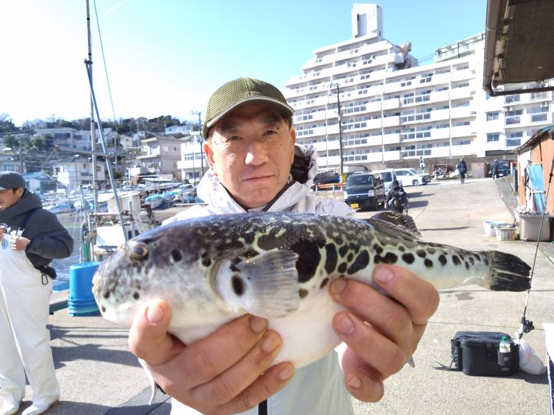 トラフグ釣り4枚目