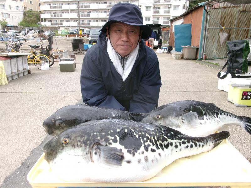 トラフグ釣り1枚目
