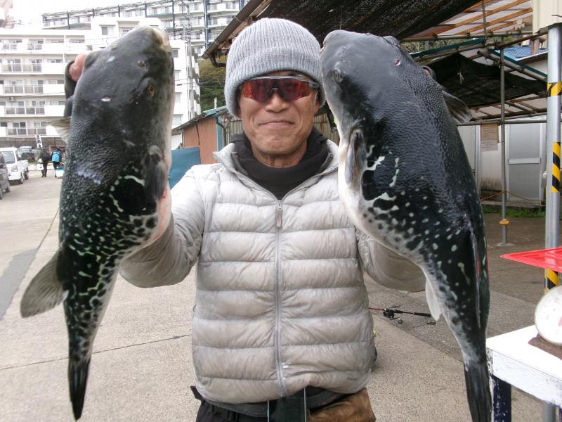 トラフグ釣り2枚目