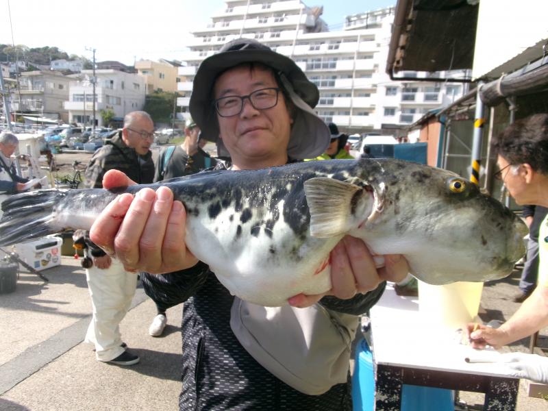 トラフグ釣り3枚目