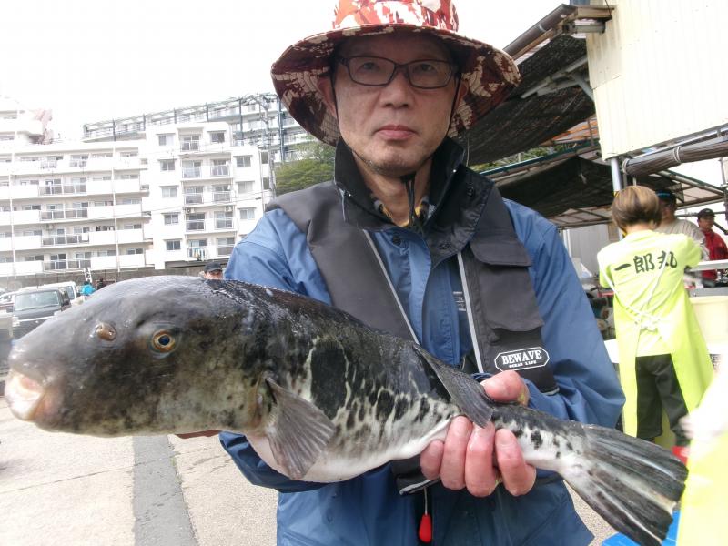 トラフグ釣り4枚目