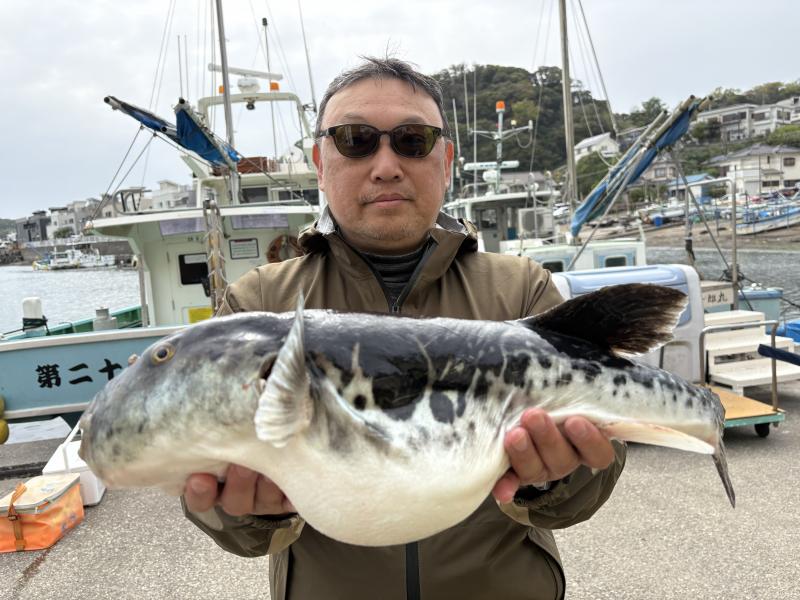 トラフグ釣り5枚目