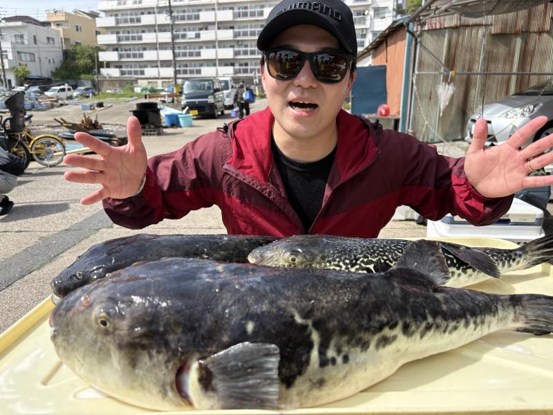 トラフグ釣り3枚目