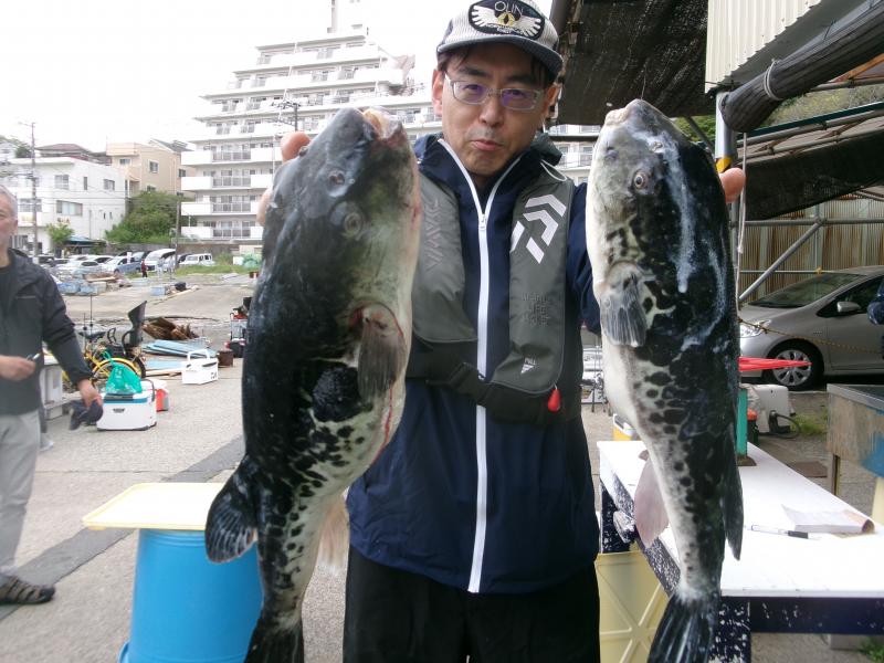 トラフグ釣り3枚目