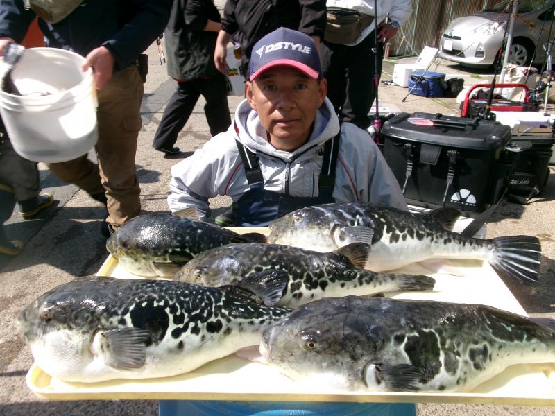 トラフグ釣り1枚目