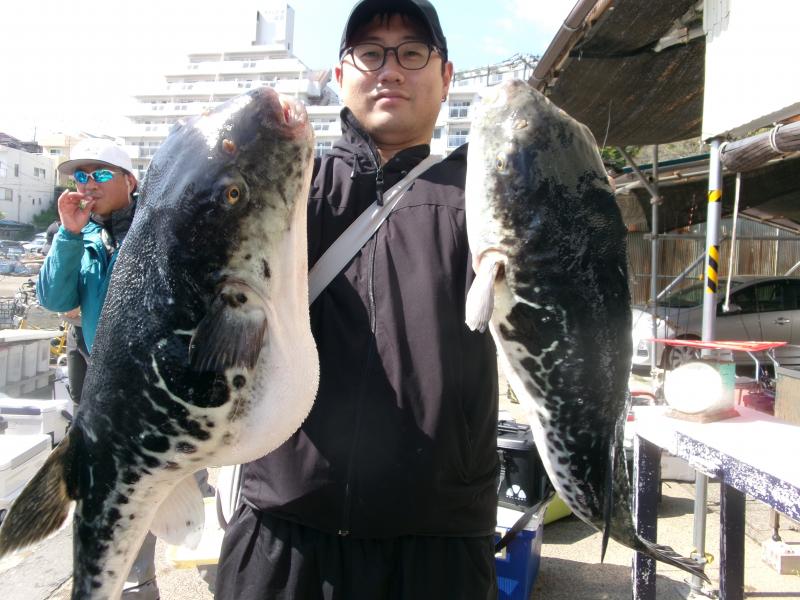 トラフグ釣り4枚目