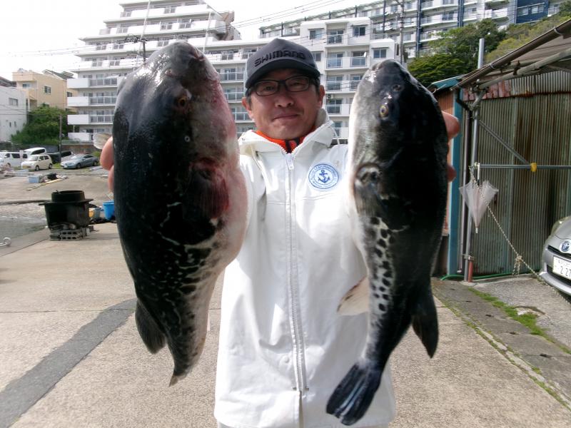 トラフグ釣り4枚目