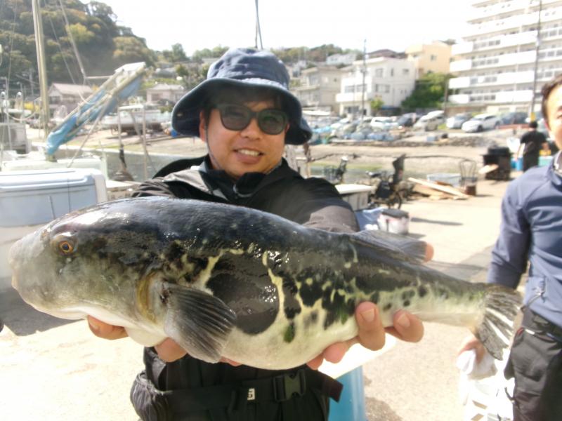 トラフグ釣り4枚目