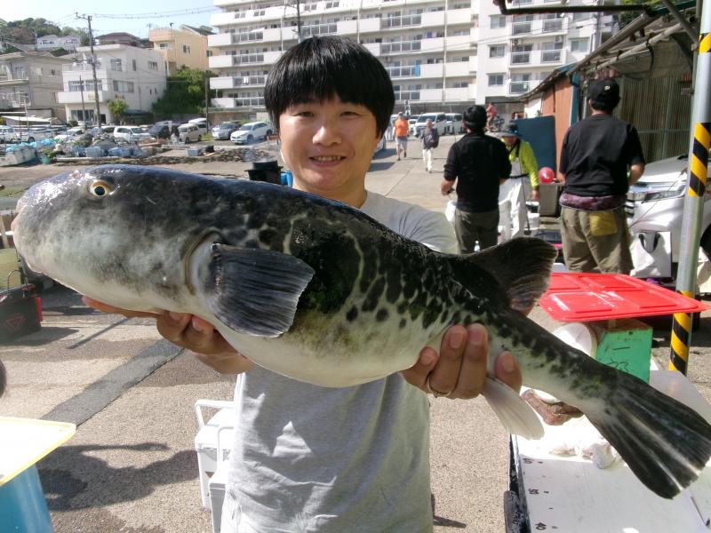 トラフグ釣り5枚目