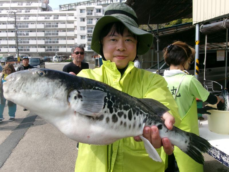 トラフグ釣り5枚目