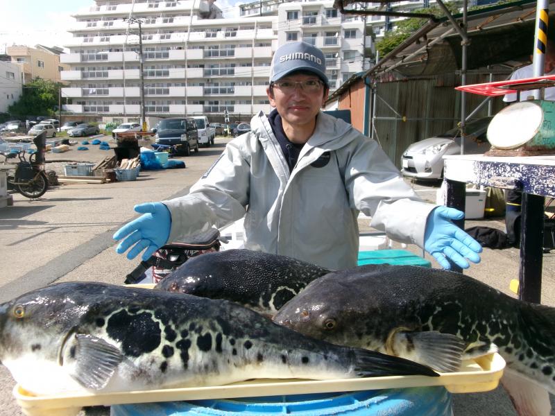 トラフグ釣り1枚目