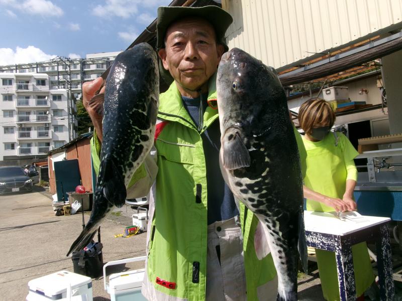トラフグ釣り3枚目