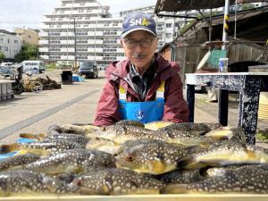 ふぐ釣り好調です！！