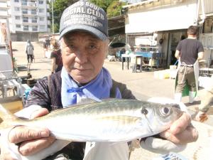 中型アジ大漁です！！