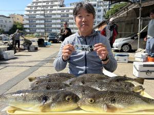 ふぐ釣り好調です！！