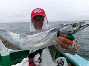 タチウオアジリレー釣り