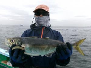 タチウオアジリレー釣り