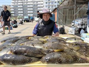 ふぐ釣り好調です！！