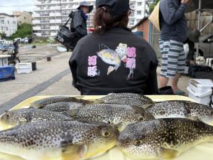 ふぐ釣り